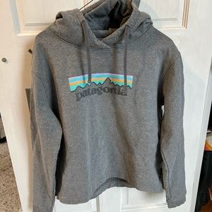 Patagonia sweatshirt